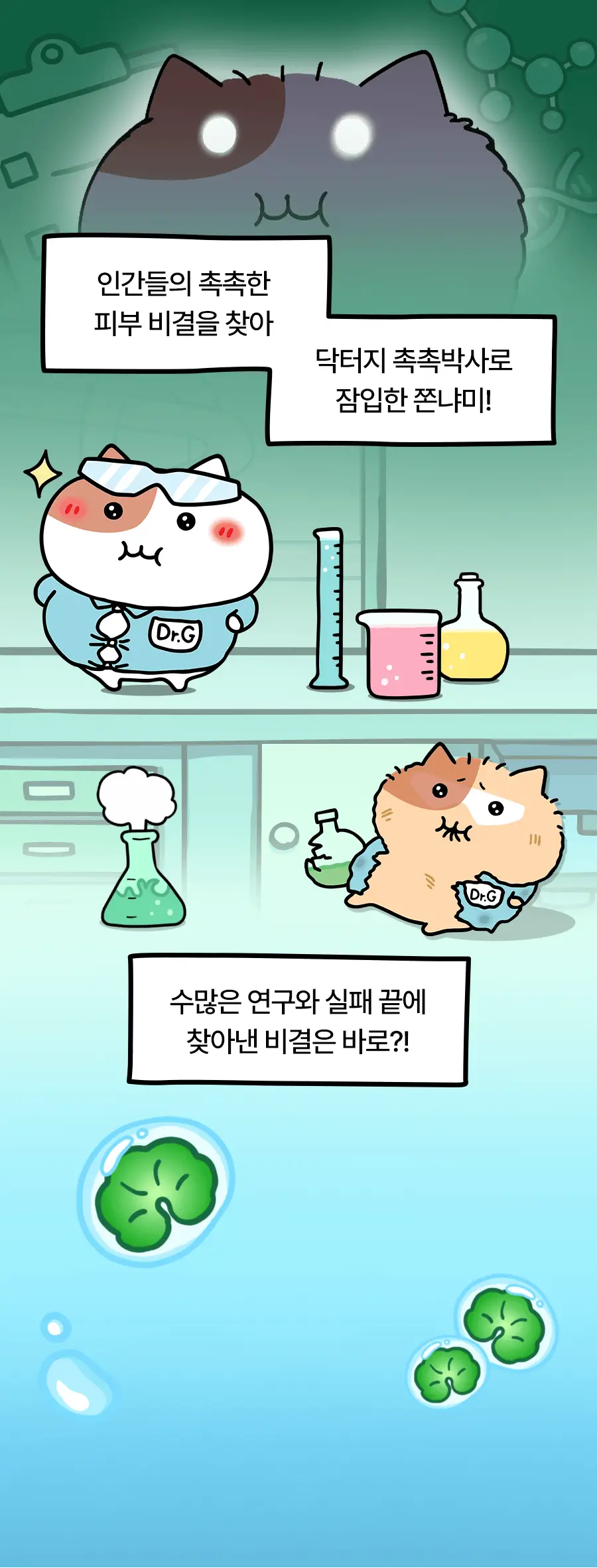 [수분진정/쫀냐미한정] 닥터지 레드 블레미쉬 클리어 히알 시카 수딩 세럼 50ml 1+1 기획(+세안밴드 증정) 상세페이지 3